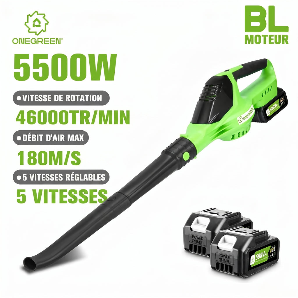 Souffleur Sans Fil 2-en-1 5500W