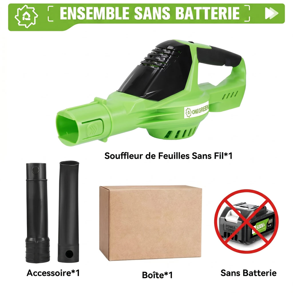 Souffleur Sans Fil 2-en-1 5500W