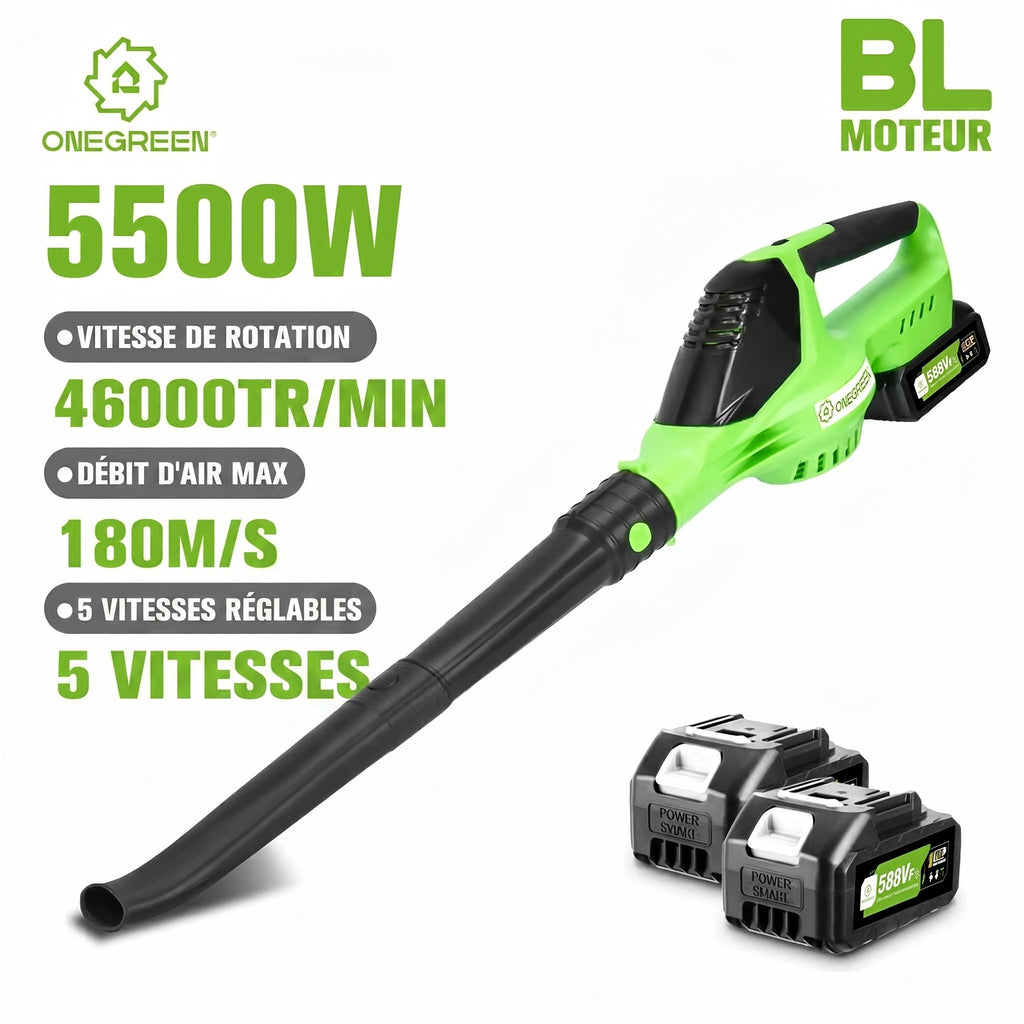 Souffleur Sans Fil 2-en-1 5500W - VERDAGREEN