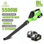 Souffleur Sans Fil 2-en-1 5500W - VERDAGREEN
