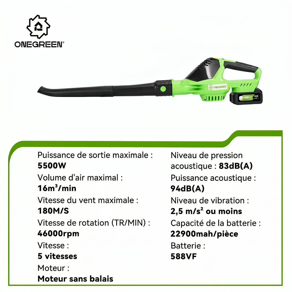 Souffleur Sans Fil 2-en-1 5500W - VERDAGREEN