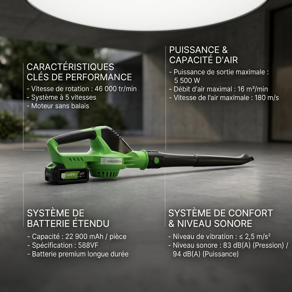 Souffleur Sans Fil 2-en-1 5500W - VERDAGREEN