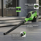 Souffleur Sans Fil 2-en-1 5500W - VERDAGREEN