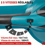 Souffleur Sans Fil 5500W - VERDAGREEN